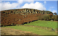 Eastby Crag, near Skipton, Yorkshire