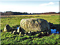 Large boulder