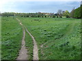 TL8642 : North Meadow Common by Oxyman