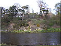 Small Crags on the River Tweed at Lowood