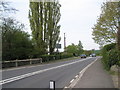 Looking westwards along the A272 at Rogate