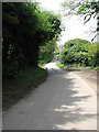 Corpusty Road past Rookery Farm