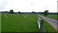 Farm track towards Cokers Frome