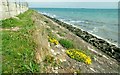 Railway path near Whitehead (2)