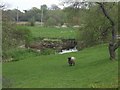 Sluice on the River Tern