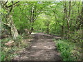 Ermine Street between Cock Lane