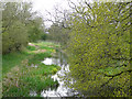 Hatherton Branch Canal, near Four Crosses, Staffordshire