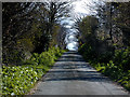 NX4302 : Road, Ballaghennie by Chris Gunns