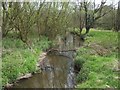 River Tern upstream of Tunstall Hall