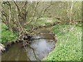 River Tern upstream of Tunstall Hall