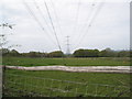 Pylons stretching westwards at Sandilands