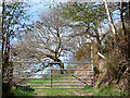 SN9490 : Farm gate at Nant y Glyn by John Lucas