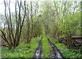 Disused railway by Chartley Moss