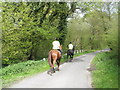 Horseriders heading north on road from East Harting to Nyewood