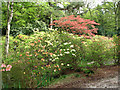 Stody Lodge - Japanese Water Gardens