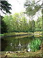 Stody Lodge - Japanese Water Gardens