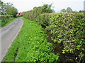 Water filled ditch at the E edge of Mounts Lane