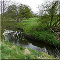 SJ9509 : Saredon Brook near Four Crosses, Staffordshire by Roger  D Kidd