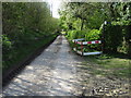 Looking W along Eggarton Lane in the direction of Godmersham