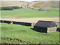 Lambing Shed at Hawkshaw with Kirkhope Tower in the distance