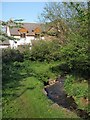 Stream at Bottom Bridge, Abbotskerswell