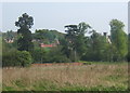 Coddenham village from meadows to the northwest