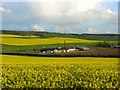 Farmland, South Stoke