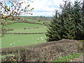 Farmland near Hiriaeth