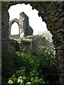 TG1642 : The ruins of St Mary's Priory by Evelyn Simak