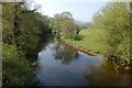 SJ1915 : Afon Efyrnwy from Pont Ysgawrhyd by John Firth