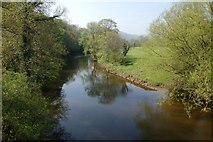 SJ1915 : Afon Efyrnwy from Pont Ysgawrhyd by John Firth