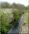 SJ9509 : Meadow Lock (No 3) Hatherton Canal, Staffordshire by Roger  D Kidd