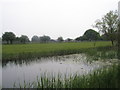 Looking across Chichester Ship Canal to Coombers Barn Farm