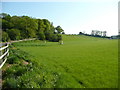 East Hampshire countryside south of Owslebury