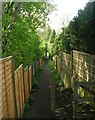 Footpath - Alwoodley Lane