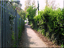 J4173 : Path, Dundonald by Rossographer