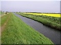 Broglasco Townland