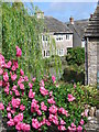 Mill Pond, Swanage