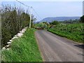 Road at Gort