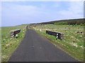 Road at Windy Hill