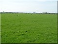 Clooney Townland