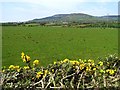 Mulane Townland