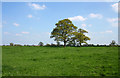 Pasture near Heath Farm