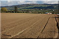 Farmland near Defford