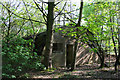 Derelict Nissen hut in Twemlows Big Wood