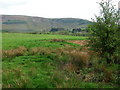 View towards Plas-y-fan