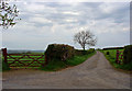 Track to Dollaston Farm, Wiston