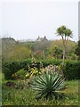 Carreg Dhu Gardens and Sunnyside farmhouse, near Rocky Hill