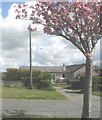 Modern bungalow on the side of the A4080 outside Malltraeth