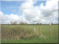 View across farmland to Tyddyn Bach